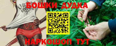 МДПВ Новодвинск