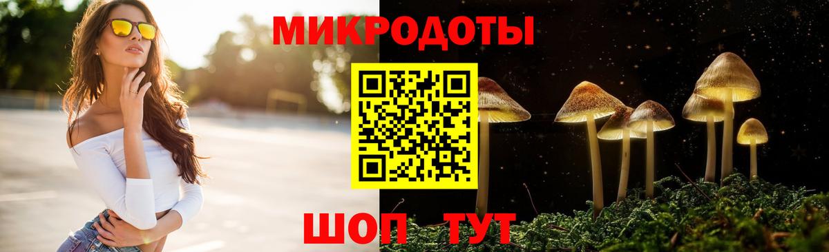 Копейск  Псилоцибиновые грибы Psilocybine cubensis  Вход с VPN 